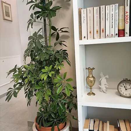 Holiday home Annunziata Relax *
